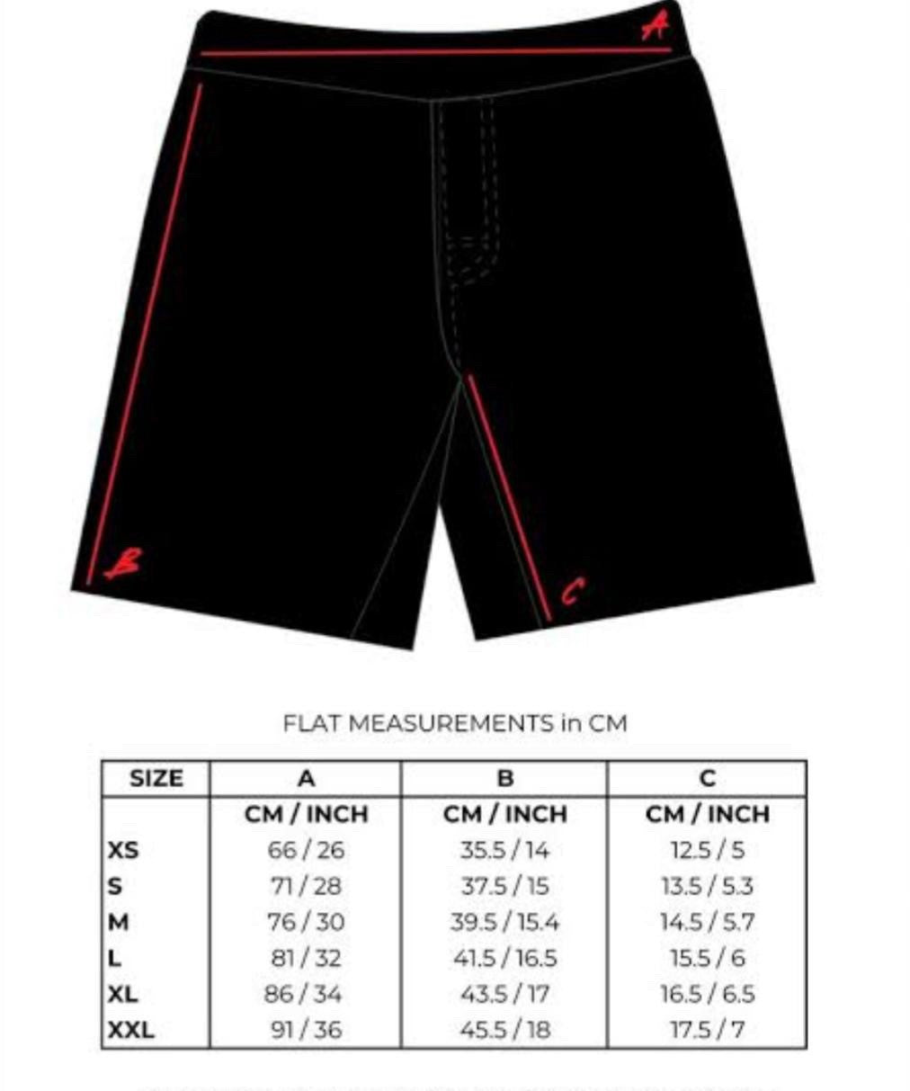 PRESALE Pixel Shorts